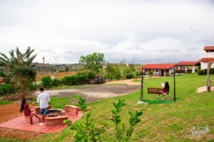 Jardines y áreas verdes de Timbarra Cottage